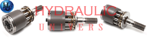 reparatie hidromotor SMF22